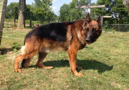 Sirkan Von Haus Mills