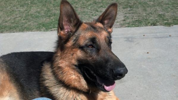 Irsus von Monte Sion