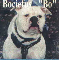 Barbosa's Bociefus Bo
