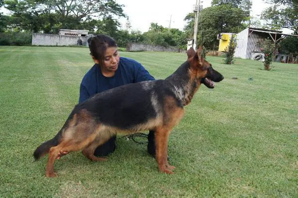 Fila Quellesanderland