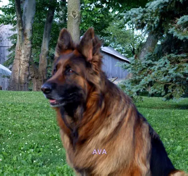 Kate Del Olimpo Ecuador