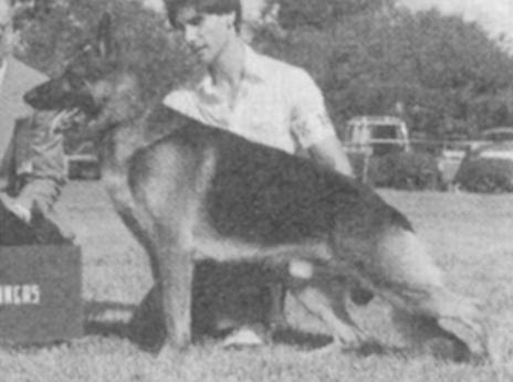 CH (US) Pine Cone's I'M Easy