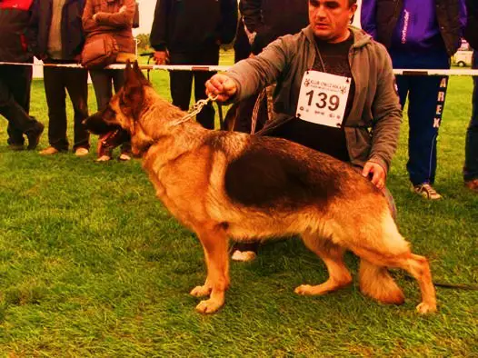 Nada aus der Brunnenstraße