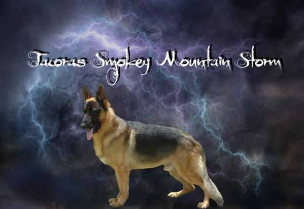 Tacoras Smokey Mountain Storm