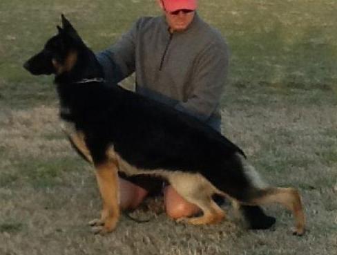 Von Hornberger's Deceived By Fannie Mae of Masrock.