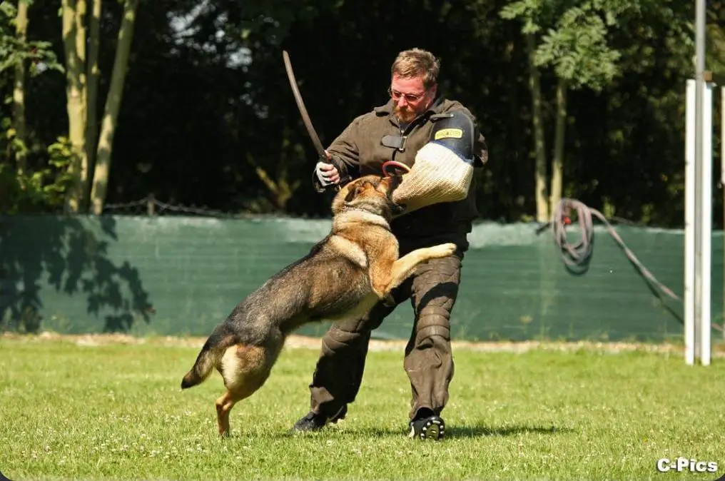 G Cassy vom Klinkert