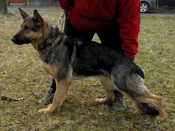 G Bety z Dobrecovske Skoly