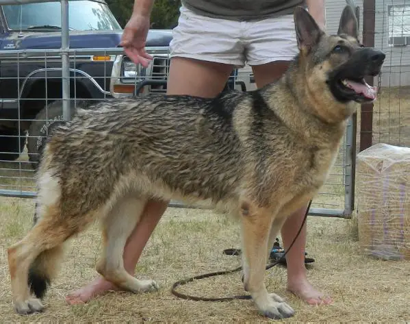 Taryn Von Felsschlucht Bach