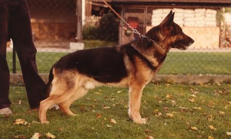 Hundert vom Stahlhammer