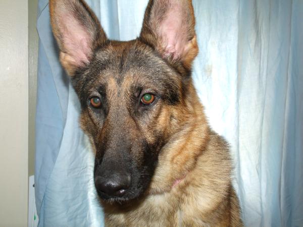 Dixie Mae Cote