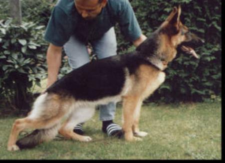 V Nancy von der Freiheit Westerholt