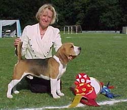CH PL,VDH,DK,NL,LUX, Daragoj Country Classic