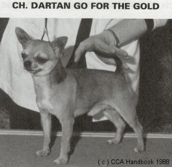 CH (US) Dartan's Go For The Gold