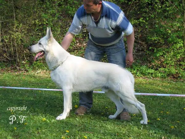 Baxter Kennel of Country Roads