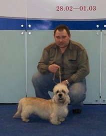 CH RUS, BEST DOG-08 Chernuy Chizh Reini Day Blues