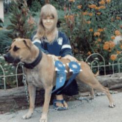 ADBA CH Michelle Varbel's Ginger