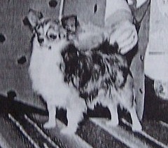 Mar-Rich's Minute Man-L