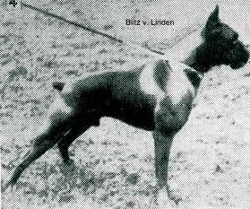 Blitz von den Linden