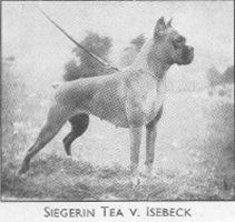 Tea von Isebeck