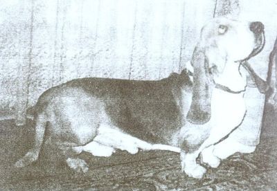 Leu van Herzogtum Julich