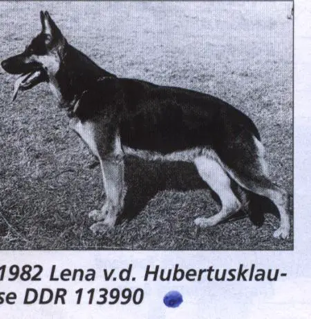 DDR SGRN 1982, V Lena von der Hubertusklause