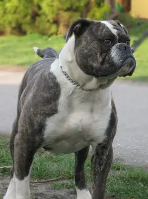 Demoniac Team Hera of  MK