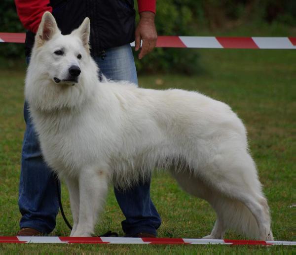 WSO SIEGER'09 Tao Te King Athabasca Vom Terlüner Schloss