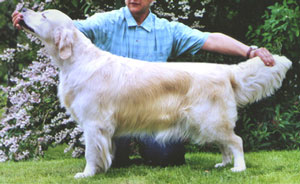 CH. F, CH. LUX L'Eau D'Issey du Bois de la Rayère