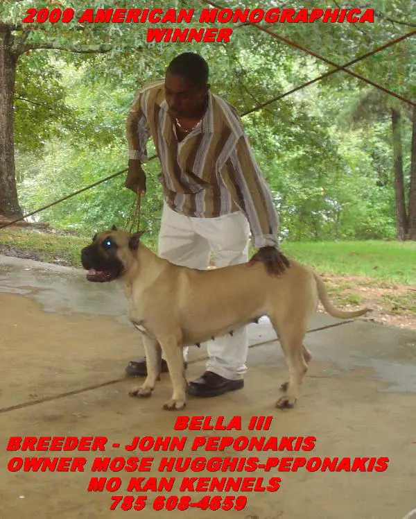 MokanKennels - Bella III