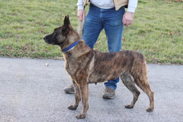 Tessa 'Mr D van Leeuwen'