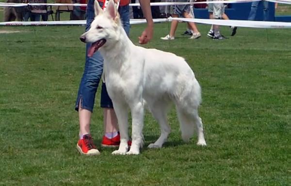 JCHSRB,CHSRB ,CHMNE Aloja