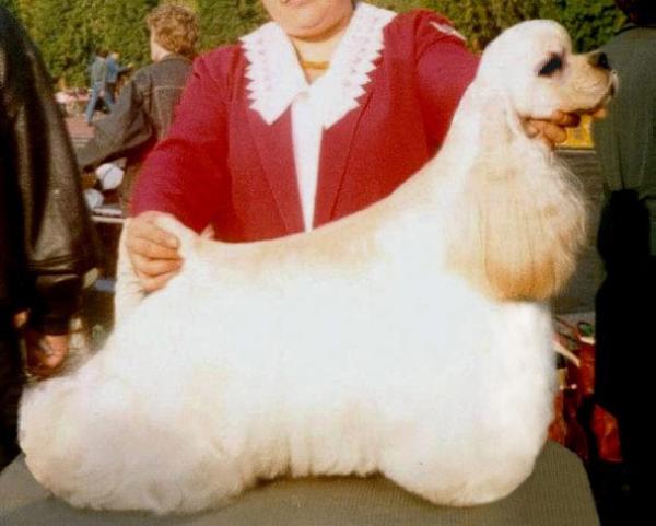 INT-RUS-BY-GEO-FINCH The Directors Choice De La Vigie