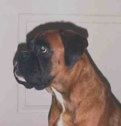 Kelindra Carly
