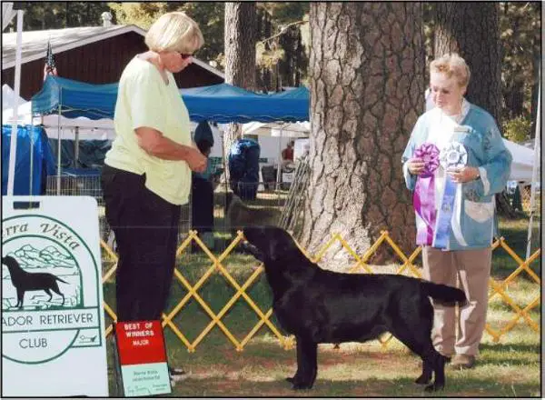 CH Temeku's India Ink