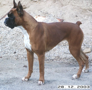 Grecia de Casa los Azahares