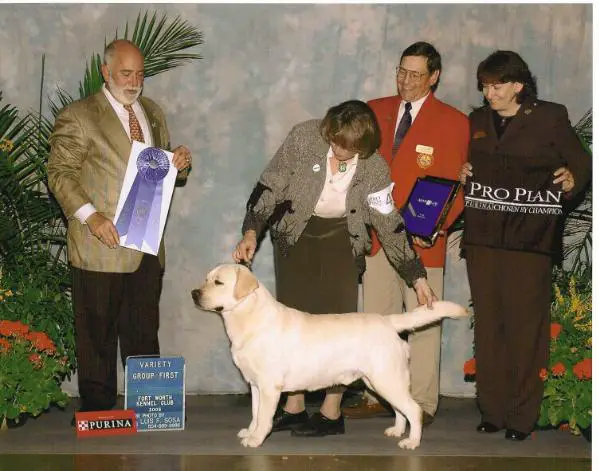 MULTIPLE BISS & BOSS GCH CH JanLon's Light My Fire