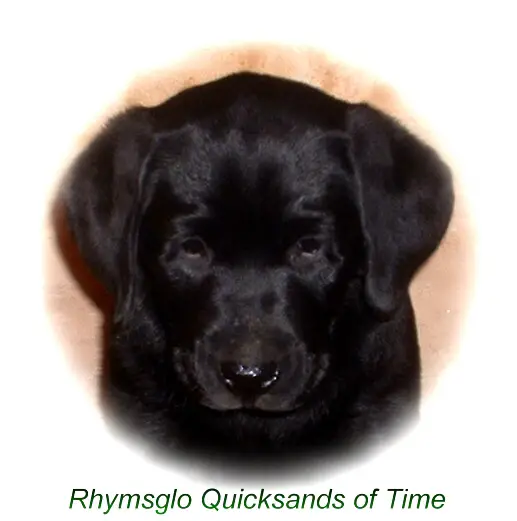 Rhymsglo Quicksands of Time