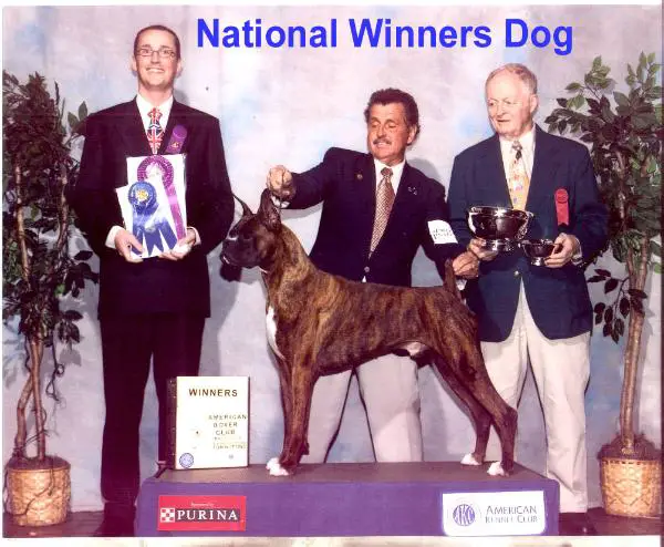 CH (US) Turo's Overture