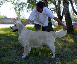 Ten To One  of Glen Sheallag