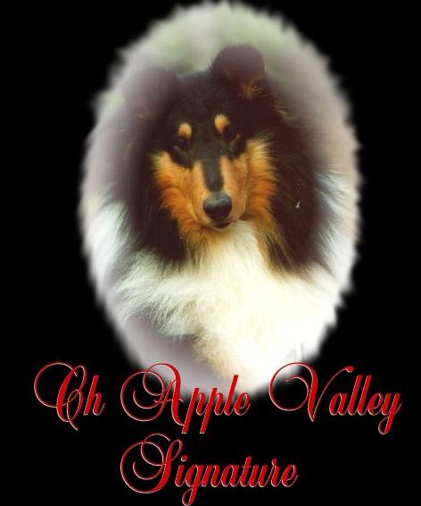 CH Apple Valley Signature