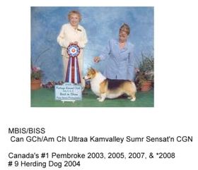 Ultraa Kamvalley Sumr Sensat'n