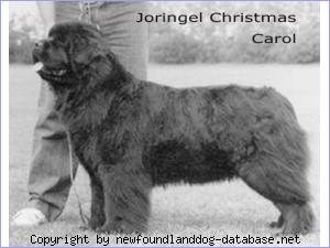 Joringel Christmas Carol