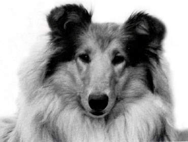 Brettonpark Vanity fair