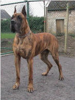 Oufkir De La Pierre Du Roy