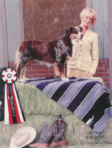 HOF CH Las Rocosa Take This Chance