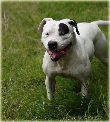 Kinghaven's Expensive