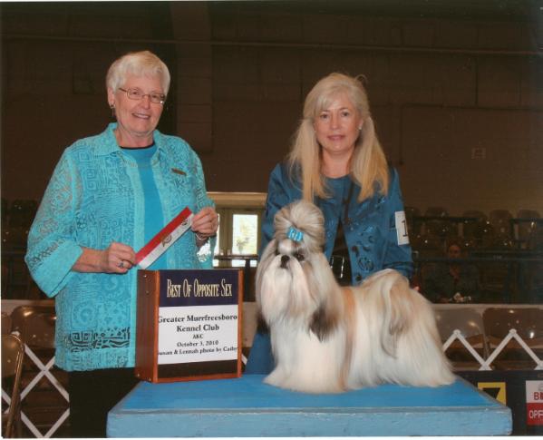 GCH CH McKnight's Golden Reputation