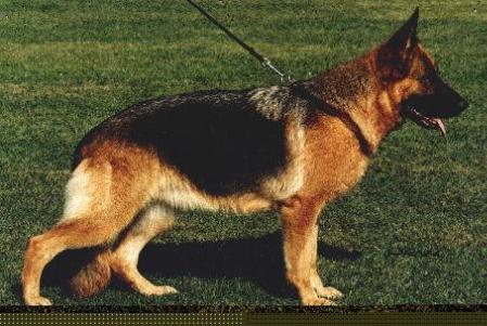 V Tessi von der Piste Trophe