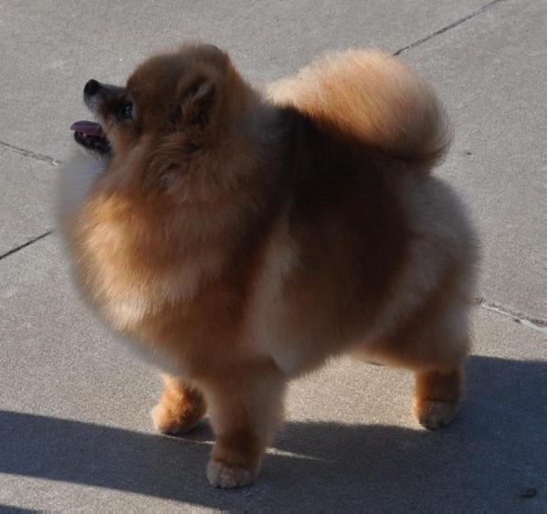 Posh's Wicked Wisdom