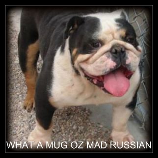 What a Mug Ozzie the Mad Russian